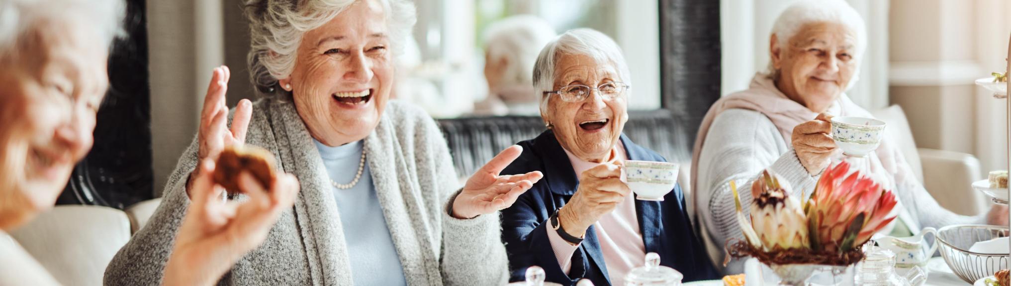 Senior Vakantie Plan